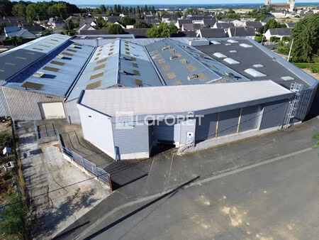 entrepôt / local industriel le puy notre dame 4500 m2