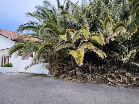 vente maison 6 pièces 280 m² à bidart (64210)  950 000 €