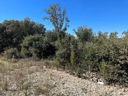 vente terrain à batir 1091 m² à orgnac-l'aven (07150)  71 000 €