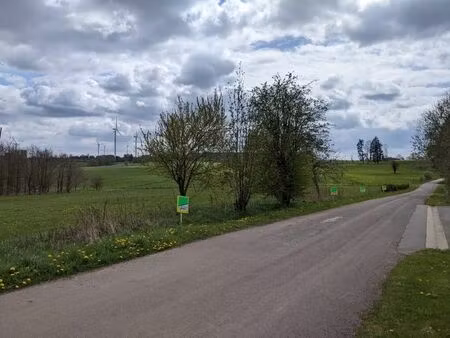 terrain à vendre à bullange € 62.500 (koxu4) - immo nyssen | zimmo