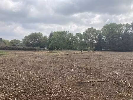 vente terrain au faouët (22290) : à vendre / 4856m² le faouët