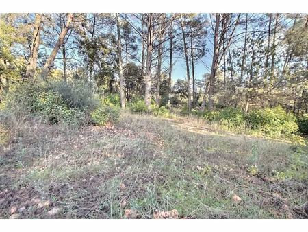 terrain trans en provence 900 m2