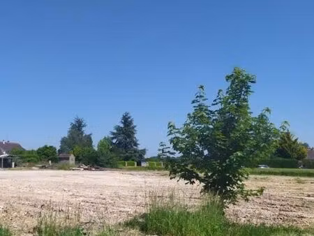 terrain orphin 7 018 m2