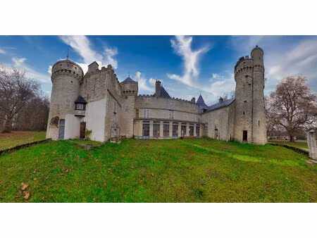 chateau à vendre à grossouvre (18600) - cher