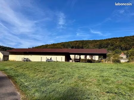 parking/box 3700 m² saint-bresson