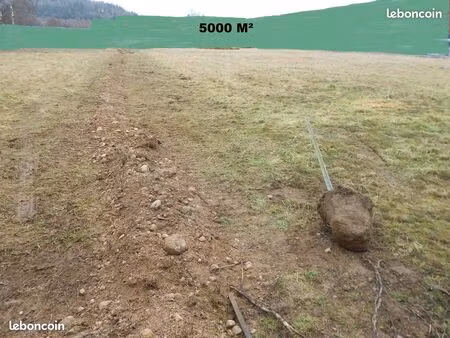 terrain 5000 m² à louer à anould