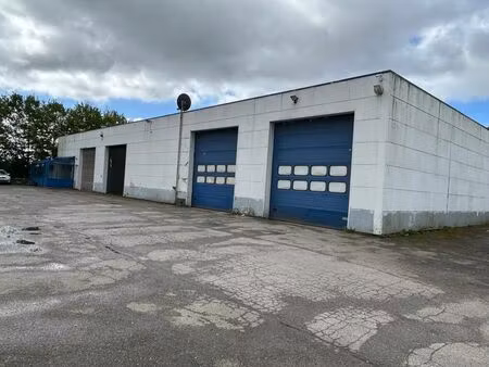 surface industrielle à vendre à lozenweg 81 hamont (rbk07204)