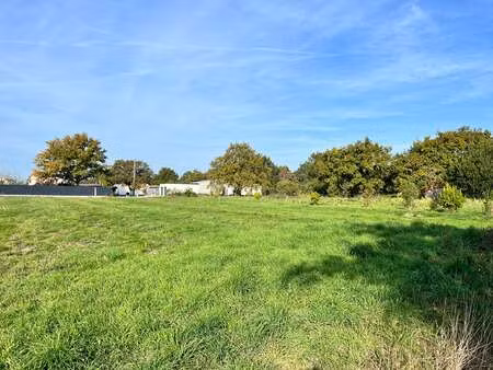 vente terrain à ligné (44850) : à vendre / 593m² ligné