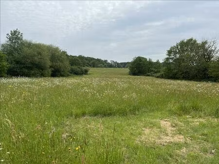 vente terrain 6000 m² écuras (16220)