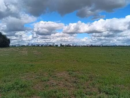 vente terrain à saint-aubin-la-plaine (85210) : à vendre / 1600m² saint-aubin-la-plaine