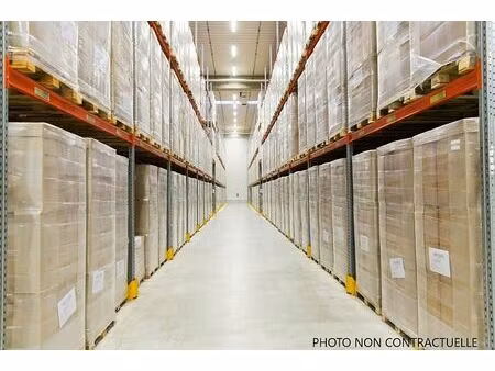 vente local d'activités guignes 433 m²