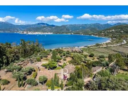 villa de 17 pièces de luxe en vente saint-florent  corse