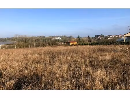 terrain behonne m² t- à vendre  137 000 €