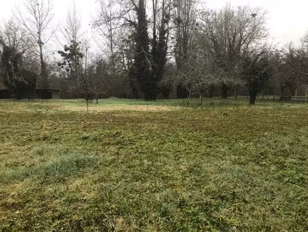 vente terrain 2600 m² à barsac (33720)  124 000 €