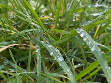 terrain constructible à bouxieres aux dames