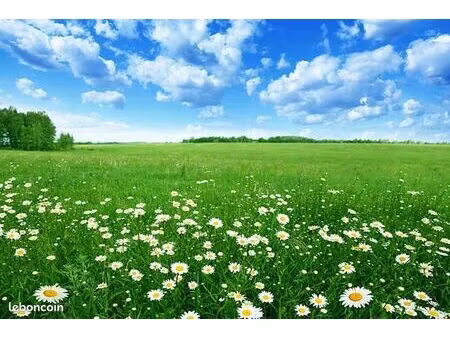 appartement - 2 pièces - envie de verdure 2