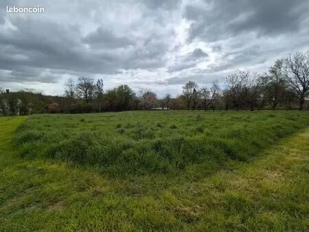 terrain 1600 m² treigny-perreuse-sainte-colombe