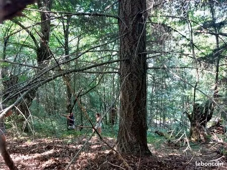 terrains boisés le cheylard