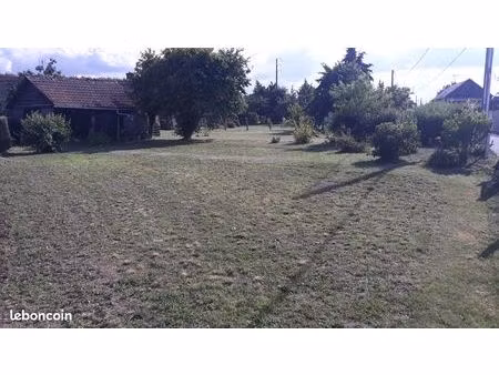 terrain constructible