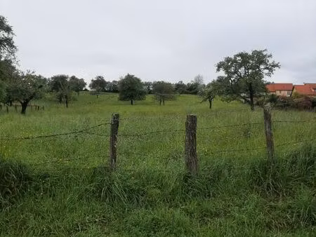 terrain 811 m² niederstinzel