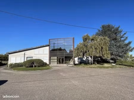 local 3041 m² marly