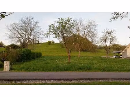 terrain constructible