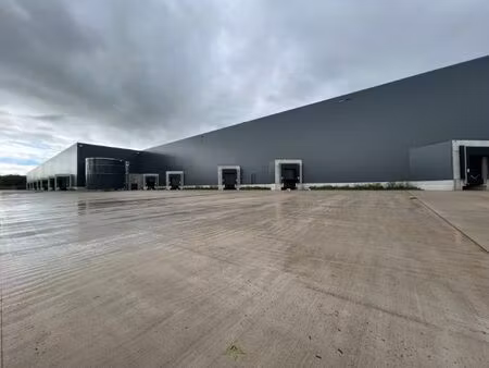 bâtiment logistique à louer à lontzen