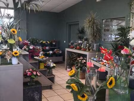 vente commerce 220 m² concarneau (29900)