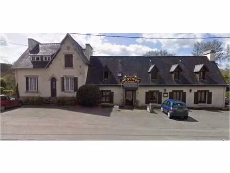 vente commerce 650 m² motreff (29270)