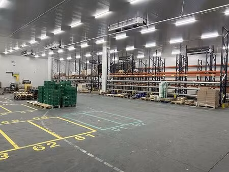 location entrepôt / local d'activités thiais 5 466 m²