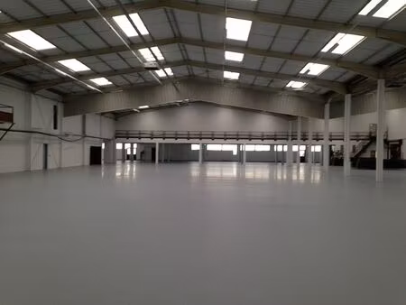 location local d'activités reyrieux 3 800 m²