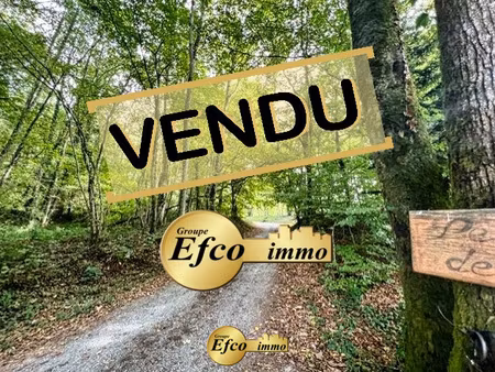 magnifique havre paix en pleine nature en alsace