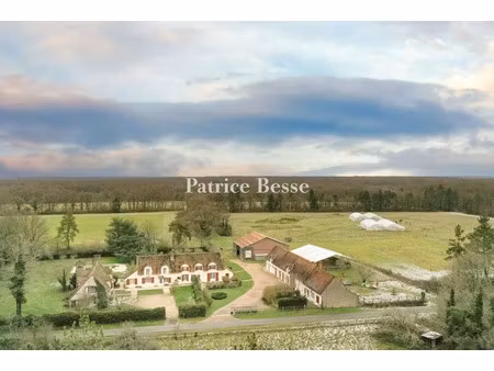 vente maison 260 m² à briare (45250)  638 000 €