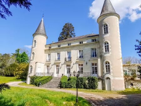 chateau à vendre à tournon-saint-pierre (37290) - indre-et-loire