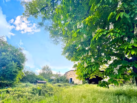grange à vendre à pranzac (16110) - charente