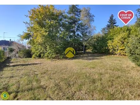 vente maison 1 pièce jouet-sur-l'aubois (18320)