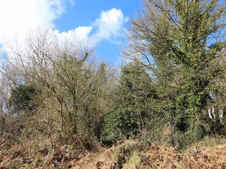 maison à vendre à maël-pestivien (22160) - côtes-d'armor