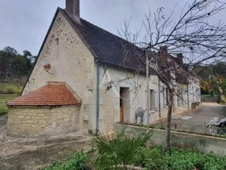 vente maison 5 pièces 147 m² à noyers-sur-cher (41140)  169 000 €