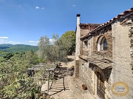 très beau mas cévenol typique de la région 167m2 sur 3 hectar