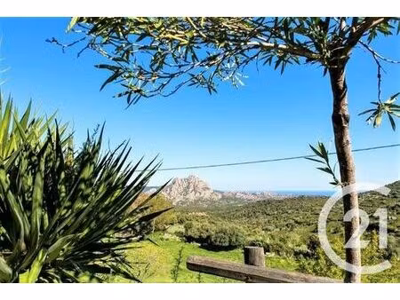 maison de ville de luxe de 12 pièces en vente saint-florent  corse