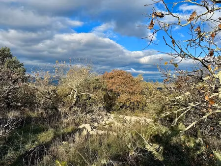 vente terrain 52200 m² à beaulieu (07460)  22 500 €