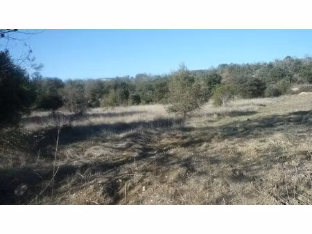 a vendre boisset gaujac