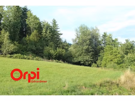 vente terrain 1890 m² à cleurie (88120)  85 000 €