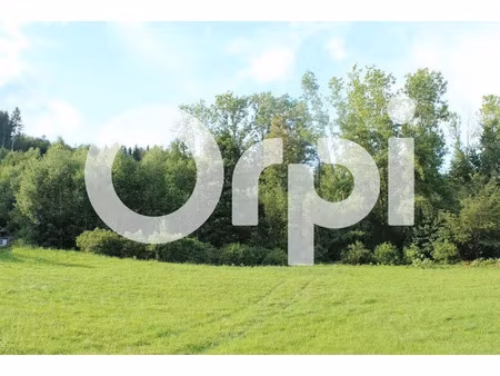 vente terrain 2230 m² à cleurie (88120)  89 000 €