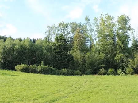 vente terrain 2251 m² à cleurie (88120)  89 000 €