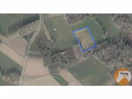 erpe-mere - weide van +/-75 are