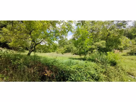 vente terrain 3175 m² espalion (12500)