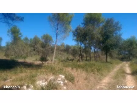 terrain à fontanes (30250) de 10 000 m2 à louer