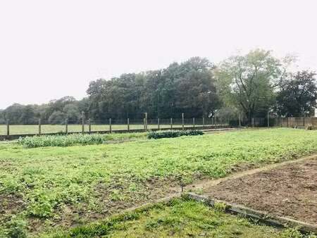 vente terrain à la chapelle-des-marais (44410) : à vendre / 1110m² la chapelle-des-marais