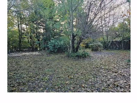 vente terrain 450 m² la plaine-sur-mer (44770)